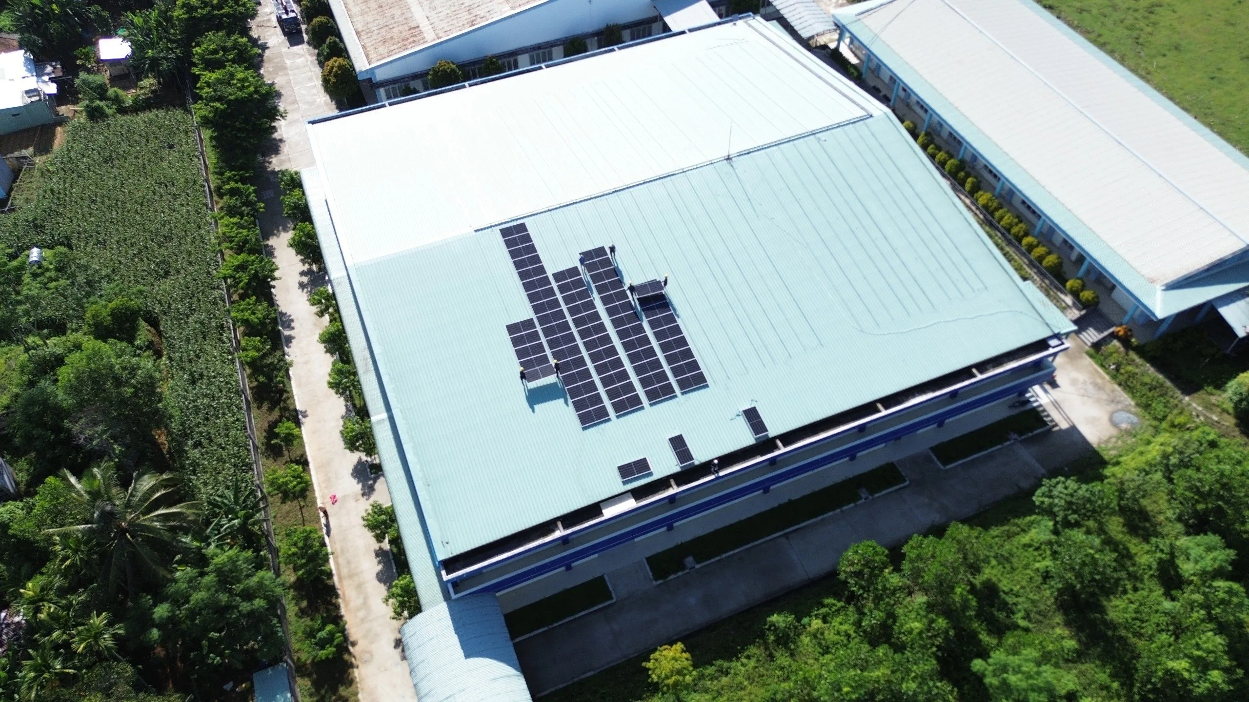 Dây DC Chống UV (cuộn 100m) — ảnh 2