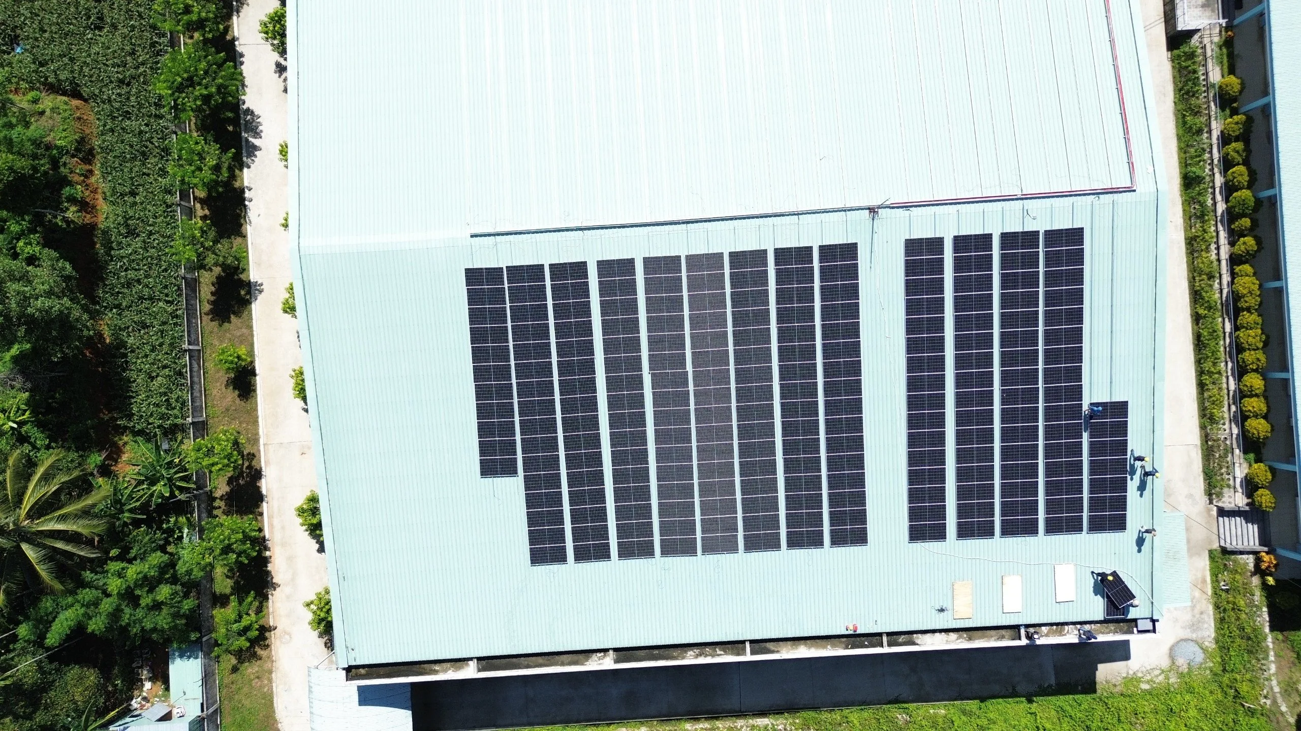 Dây DC Chống UV (cuộn 100m) — ảnh 3